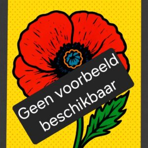 Plukboeket Abe Lenstra
